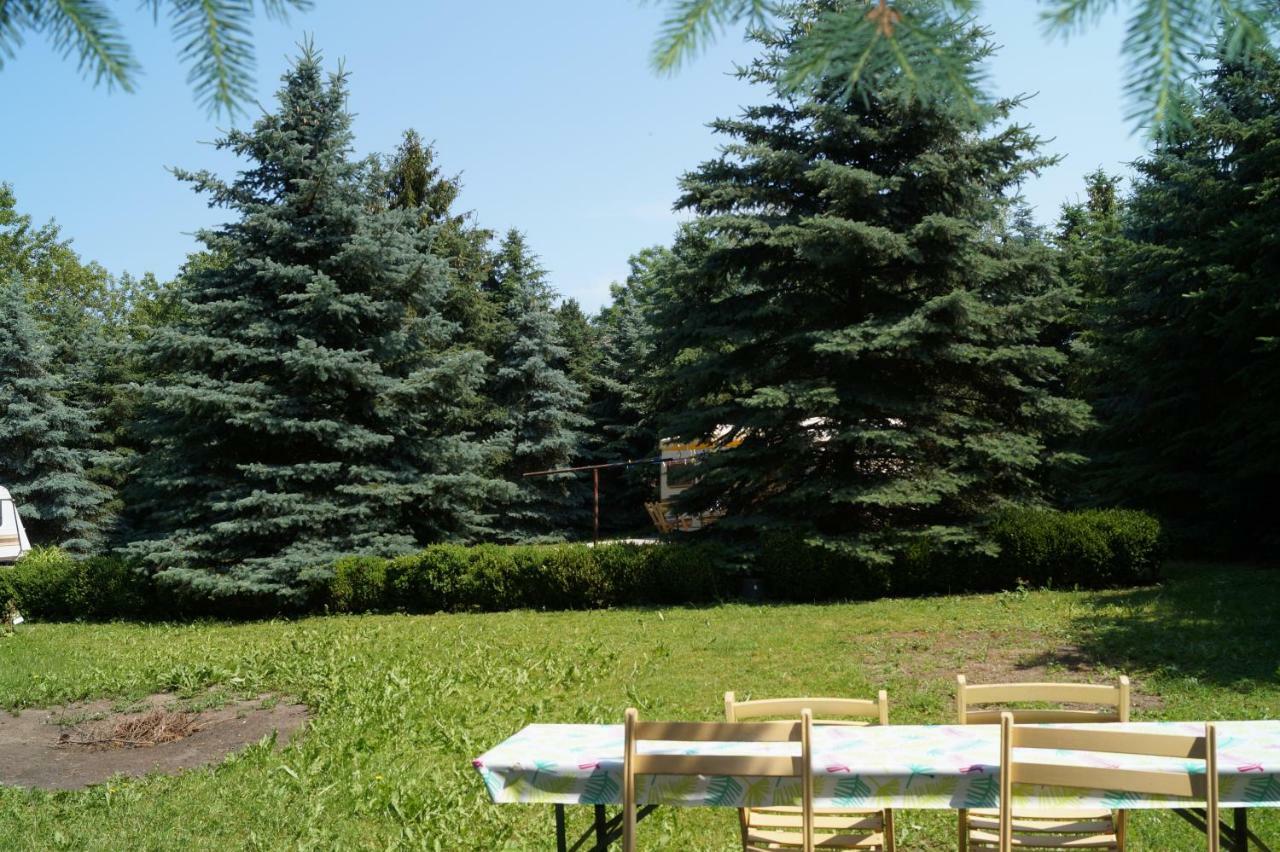 Letschin Ferienhaus Zum Jagdschlosschen المظهر الخارجي الصورة